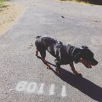 Zane - @_zane_hall - Instagram