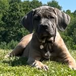 Zane Hall - @zane.hall.946 - Instagram