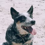 Zane Hampton - @hamptonzane - Instagram