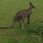 Zane_holmes!! - @zane_holmes6 - Instagram