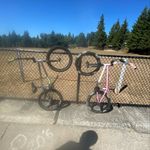 Zane Hughes - @zanehughes556 - Instagram