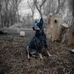 Zane Ibrahim - Facebook