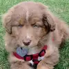 Zane Jackson - @zane.jackson0 - TikTok