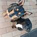 Zane Jackson - Facebook