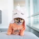 zané jacobs - @zanejacobs3 - Instagram