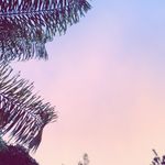 Zane Jensen - @zaney__spams - Instagram