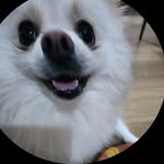 Zane - @zane.jensen07 - Instagram