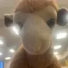 Zane Johnson - @zane_johnson_ak - TikTok