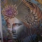 Zane Maddox - @zanemaddox220 - Instagram