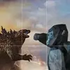 zanemoore58 - @zanemoore95 - TikTok