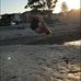 Zane Palmer - Facebook