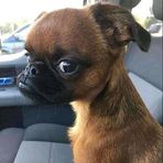 Zanele Pearce - Facebook