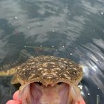 Zane perkins - @zane_fishin - Instagram