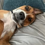 Zane Perkins - @zaneperkins - Instagram
