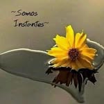 Zane Farias Ramos - @rosanesalvadorlima5123 - Instagram