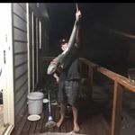 Zane - @zane.roach - Instagram