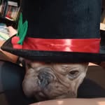 zane robert serrano - @zanerobertserrano - Instagram