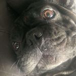 Zane Shaw - @slipcxc - Instagram