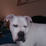 Zane Shaw - @zane.shaw.739 - Instagram