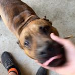 Zayne Shaw - Facebook
