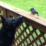 Zane Shook - @wzaneshook - Instagram