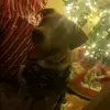 Zane Shook - @zaneshook235 - TikTok