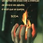 Zane Silva - @zane.silva.9659283 - Instagram