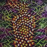 Zane Simon - @metallinks57 - Instagram
