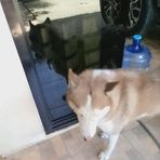 Zane Simon Peleños - Facebook