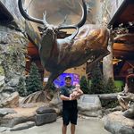 Zane Singleton - @am_zane - Instagram