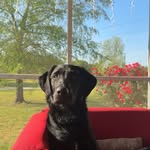 Zane - @zane_small5 - Instagram