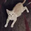zanesmall14 - @zanesmall14 - TikTok