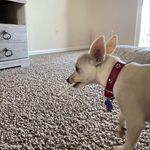 Zane sparks - @zane_sparks8875 - Instagram
