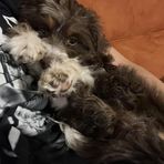 Zane Sparks - Facebook