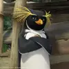 Zane Spencer - @zanespencer - TikTok