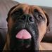 Zane Spencer - Facebook