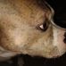 Zaine Yocum - Facebook