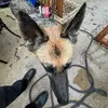 poser_central - @zanestarnes - TikTok