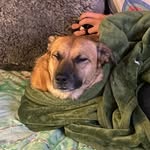 Zane Steindler - @zanesteindler - Instagram
