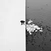 zanesteinberg - @zanesteinberg - TikTok