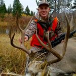 Zane Stevens - @zane.stevens8 - Instagram