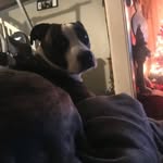 zane - @zane_stoner - Instagram