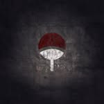Zane - @zane_stonez - Instagram