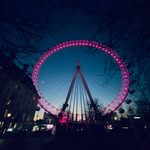 Zane strong - @zanestrong41 - Instagram