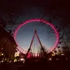 Zane Strong - @zane.strong3 - TikTok