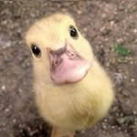 Zané - @zane_stuart - Instagram