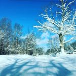 Zane Swanson - @mi_highway - Instagram
