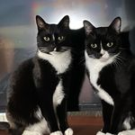Tanner and Zane Willhoit - @tanner_and_zane - Instagram