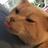 Zane - @zane.tanner - TikTok