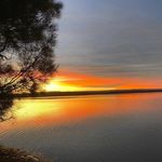 Zane - @zane_tanner023 - Instagram
